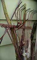 old rake