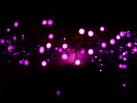 fiber optic fiber ends head on
