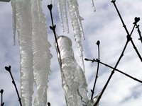 icicles