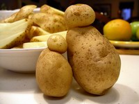 mrs potato and her small fry