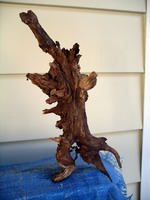 wood pile critter